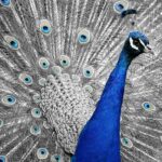 Jaké jsou nejlepší sněhové řetězy: Recenze a doporučení pro výběr 11 Jaké jsou nejlepší sněhové řetězy: Recenze a doporučení pro výběr