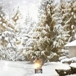 Sněhová fréza Toro Powerlite manuál: Praktické rady a tipy 21 Sněhová fréza Toro Powerlite manuál: Praktické rady a tipy