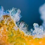 Veriga sněhové řetězy pro Compact 9-60 - Proč jsou ideální pro menší vozy 17 Veriga sněhové řetězy pro Compact 9-60 – Proč jsou ideální pro menší vozy