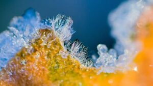 Veriga sněhové řetězy pro Compact 9-60 - Proč jsou ideální pro menší vozy 29 Veriga sněhové řetězy pro Compact 9-60 – Proč jsou ideální pro menší vozy